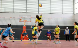 Der Preis der Elite: Wie Sant Cugat aus der Topliga verdrängt wird